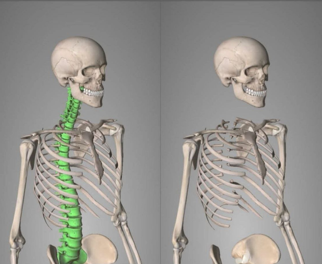 Photo 2026 01 19 19 07 10