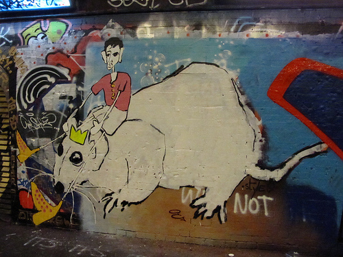 Street Art by duncan, London