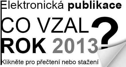 rocenka213