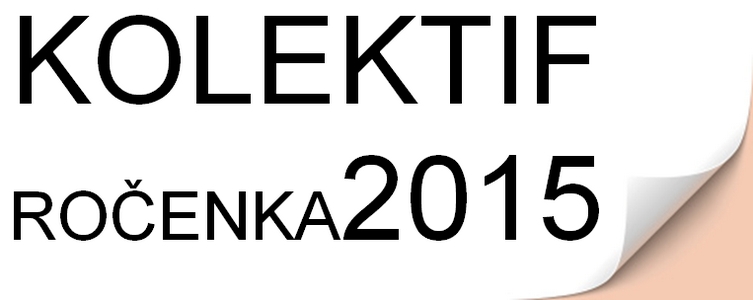 Kolektif Videa 2015