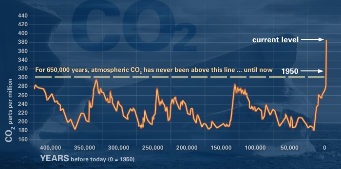 co2.jpg