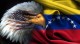 Plan Desestabilizar A Venezuela 600x337