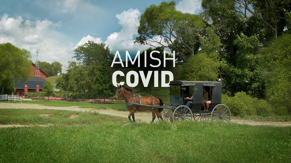 Amish Covid V3
